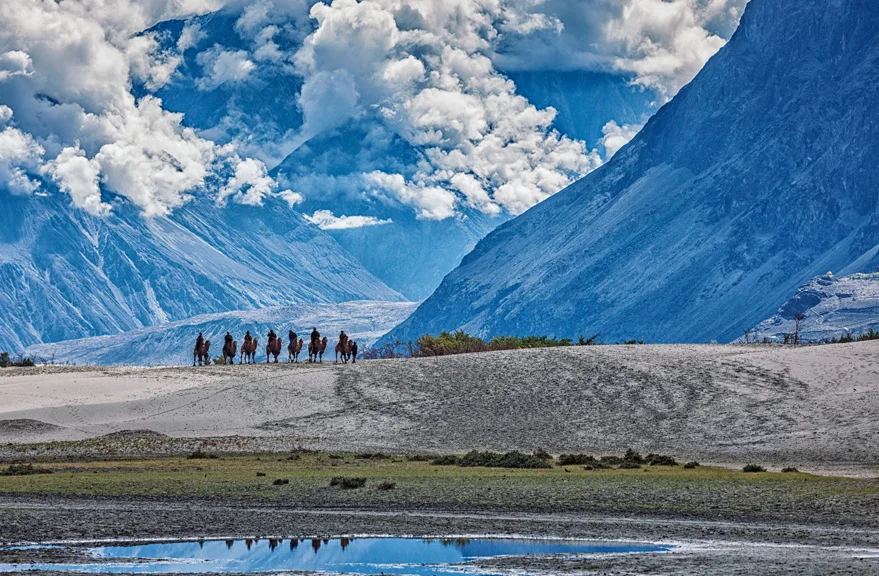 A picturesque valley nestled between the Karakoram and Ladakh ranges, Nubra Valley charms with its colorful landscapes, lush greenery, and meandering rivers, offering a serene escape amidst towering sand dunes and snow-capped peaks in the heart of the Himalayas.